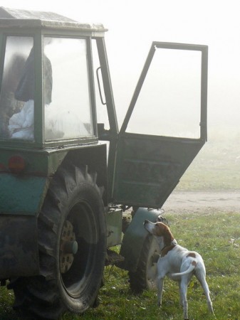 yellow sa uz nevie dockat:)